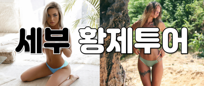 세부에스코트정보